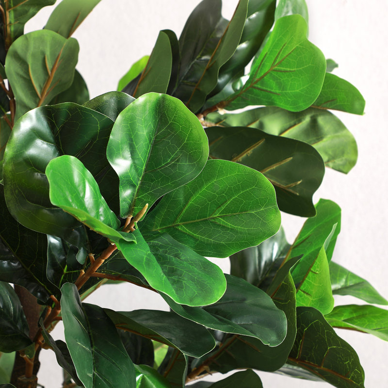 Sand & Stable Faux Fiddle Leaf Fig Tree in Pot & Reviews Wayfair